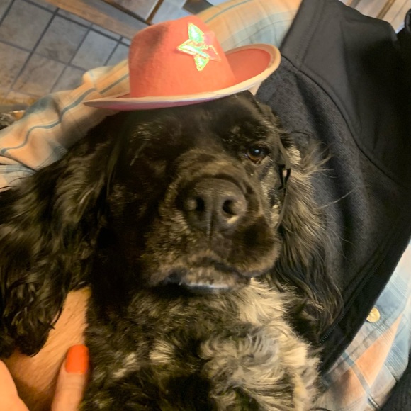 Meet your Posher, April - Picture 9 of 16